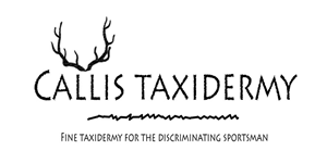 Logo Design by Brite Studios