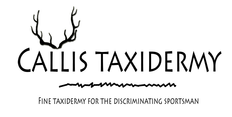 Logo Design by Brite Studios for this project | Design #1037746