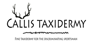 Logo Design by Brite Studios for this project | Design: #1037746