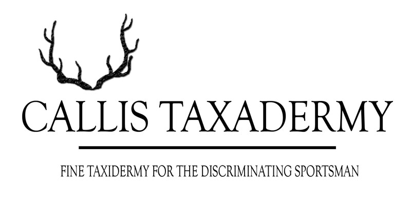 Logo Design by Brite Studios for this project | Design #1037951