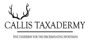 Logo Design by Brite Studios for this project | Design: #1037951