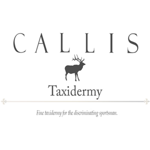 Logo Design by jend
