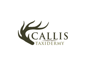 Logo Design by koloraturaDC for this project | Design: #1037864