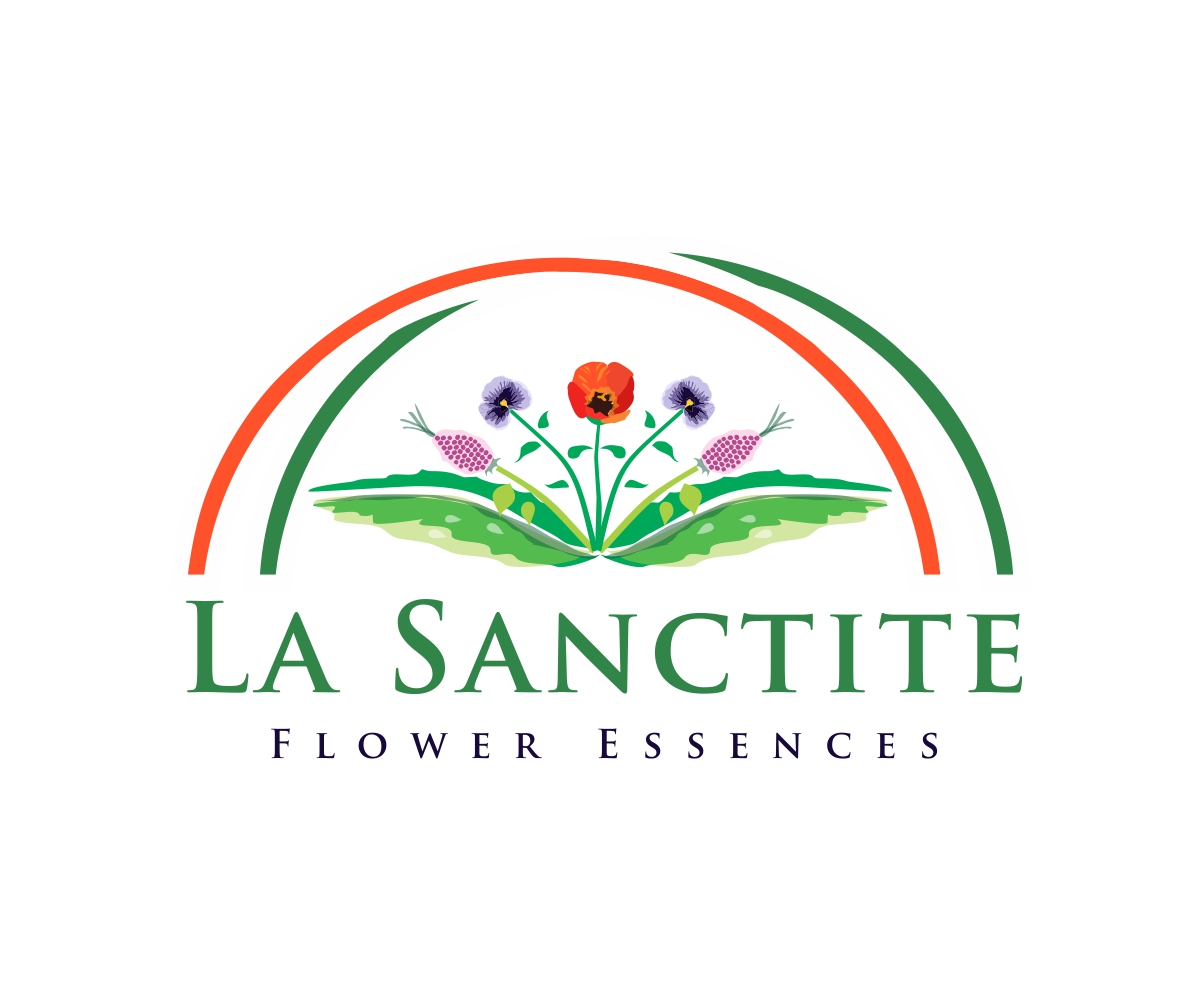 Logo-Design von Mandarina für dieses Projekt | Design #3926822