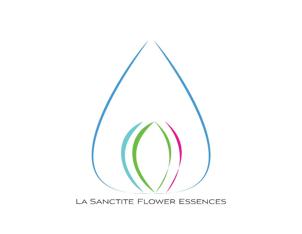 Logo Design by EZO Design for this project | Design #3891570