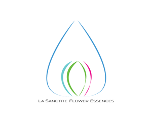 Logo Design by EZO Design for this project | Design #3891570