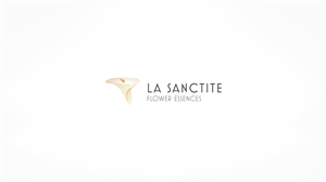 Logo Design by Dalibor Pajic for this project | Design: #3897178