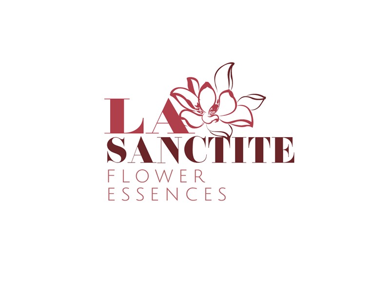 Diseño de Logo por Behriatech para este proyecto | Diseño #3917500