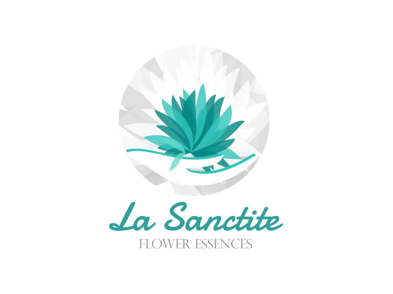 Logo Design by Behriatech for this project | Design #3924517