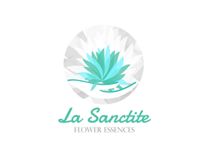 Logo Design by Behriatech for this project | Design: #3924522
