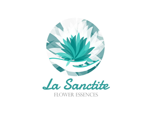 Logo Design by Behriatech for this project | Design: #3924527