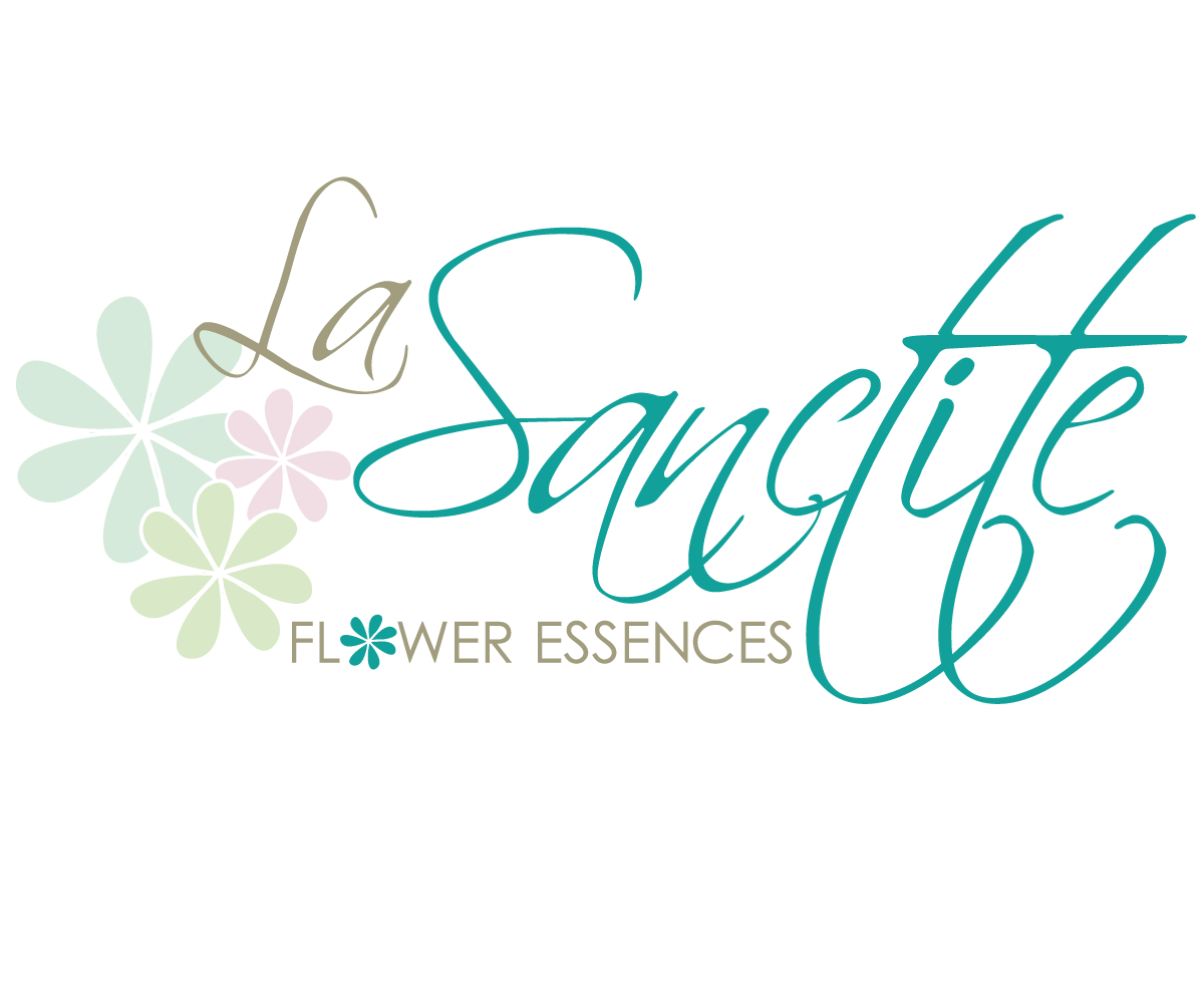 Logo Design by Sue for this project | Design #3903363