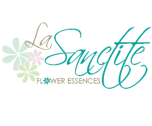 Logo Design by Sue
