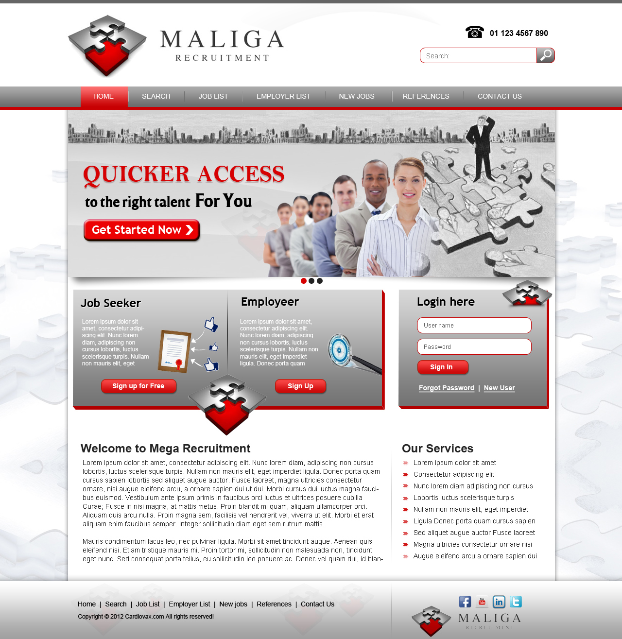 Web Design by TechWise for Island Solution | Design #1043080