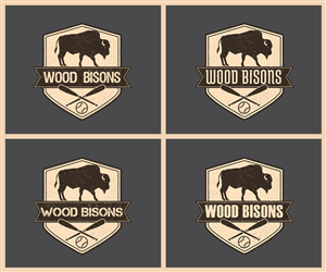 Logo Design by karolin for this project | Design: #3891055