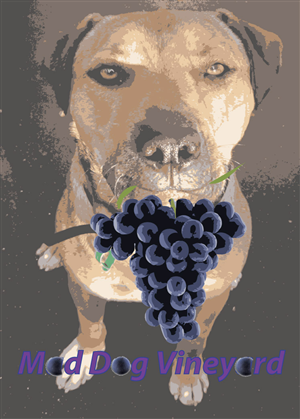 Logo Design by Peter Richards