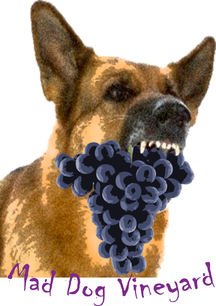 Logo Design by Peter Richards for this project | Design #1060730