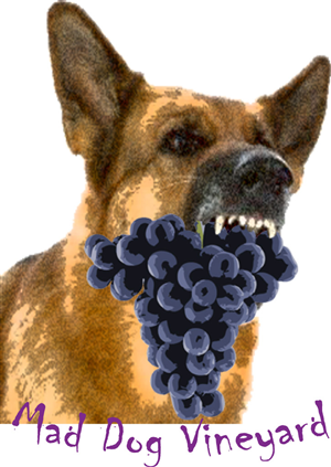 Logo Design by Peter Richards for this project | Design: #1060730