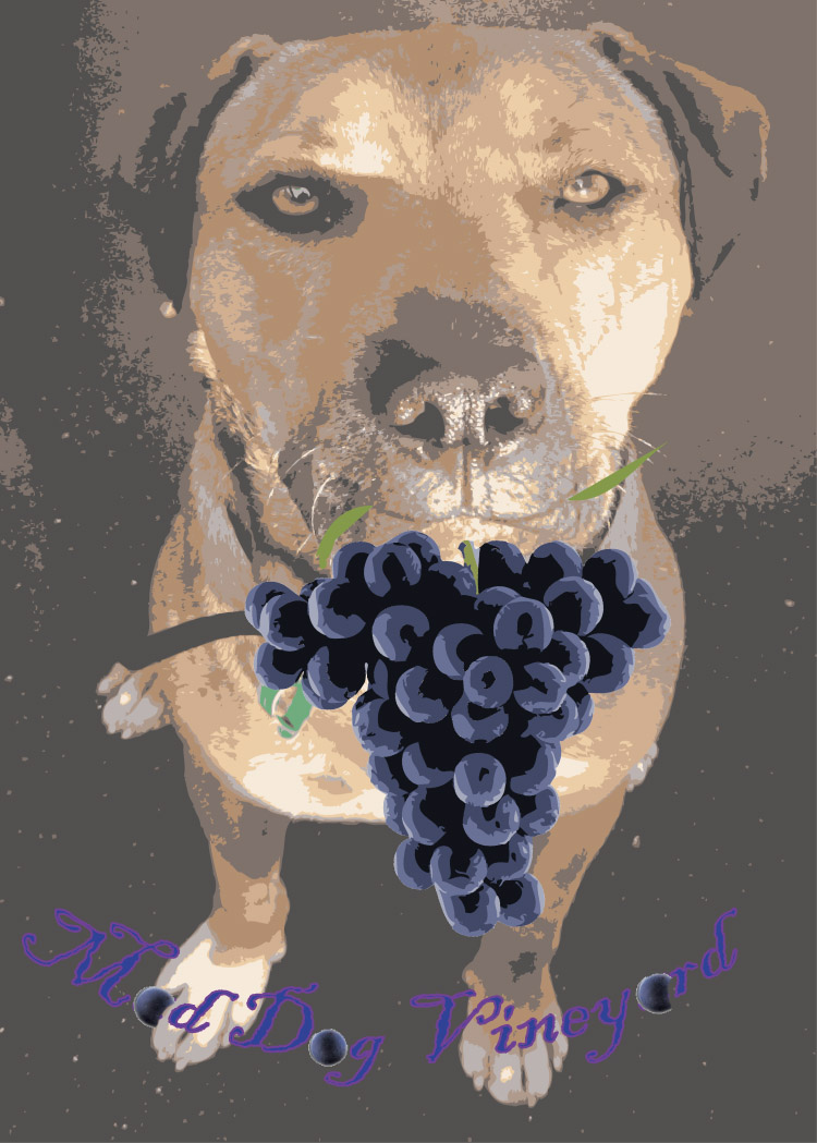 Logo Design by Peter Richards for this project | Design #1060733