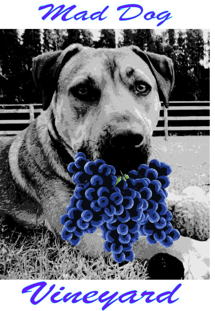 Logo Design by Peter Richards for this project | Design #1060735