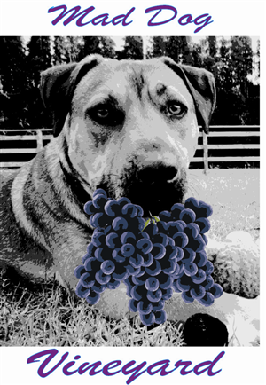 Logo Design by Peter Richards for this project | Design: #1060735