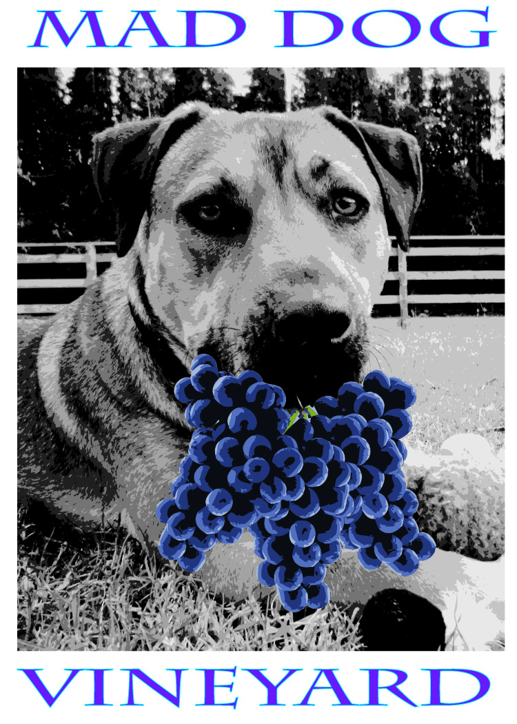 Logo Design by Peter Richards for this project | Design #1060737