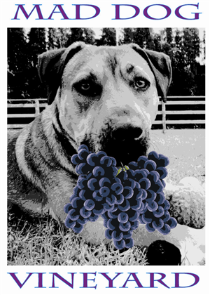 Logo Design by Peter Richards for this project | Design: #1060737