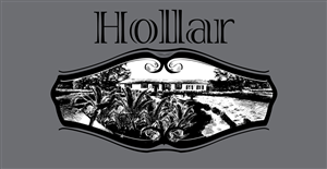 The Back Hollar | Graphic Design by INGA DESIGN