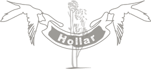 Diseño Gráfico por Stand Back Design Limited para Tri County Landscape | Diseño: #3905572