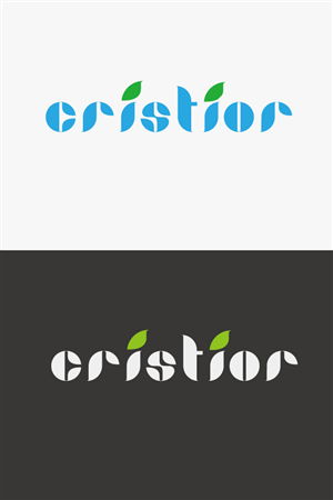 Logo Design by leebswz