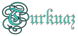 Logo Design by bh344