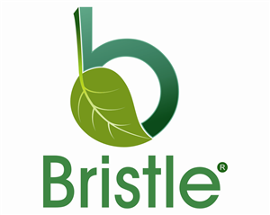Logo Design by blueseal