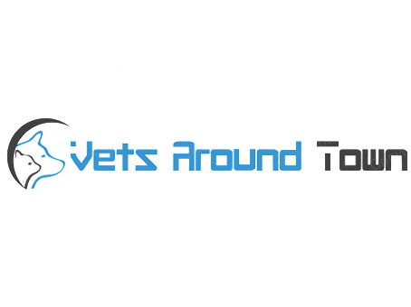 Logo Design by rokonrock for Intellect Plus Pty Ltd | Design #3937210
