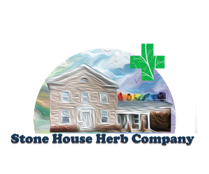 Logo Design by Animatron