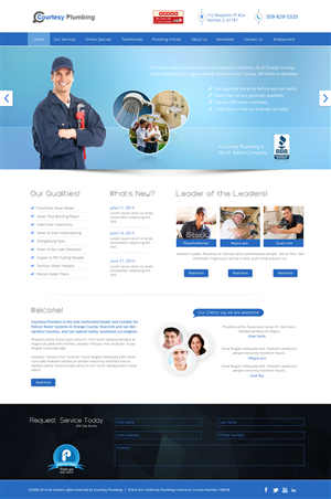 Web Design by Roshan Choudhary