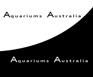 Logo Design by Alexandra Sava