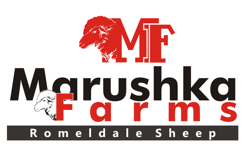 Logo Design by Chota for Wild Fibers Magazine | Design #3907835