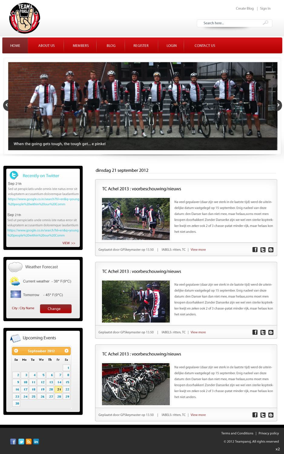 Wordpress Design by pb for Cerebra Consult CVBA | Design #1061115