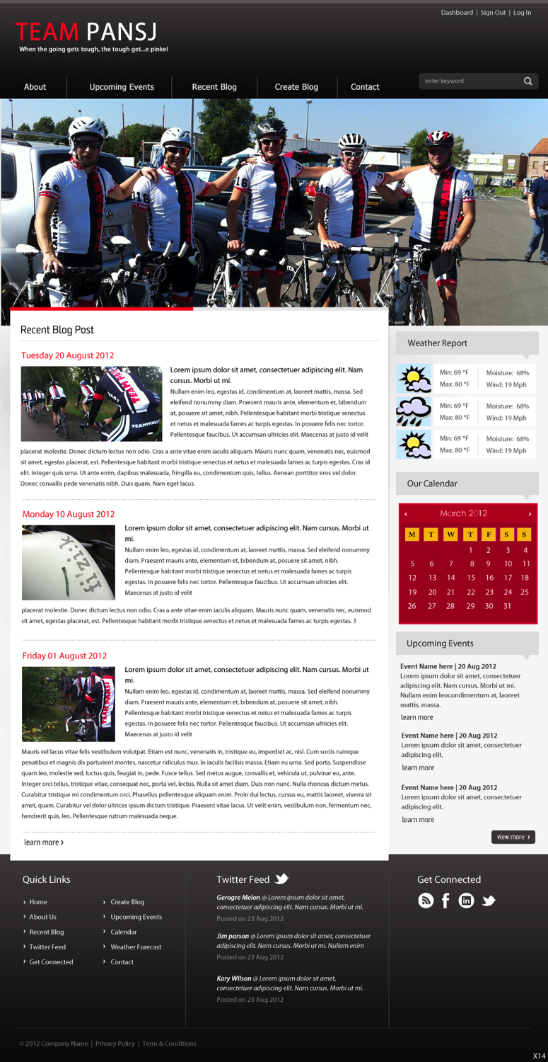 Wordpress Design by pb for Cerebra Consult CVBA | Design #1063942