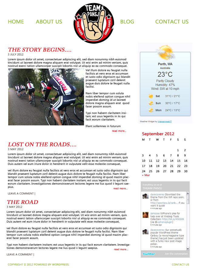 Wordpress Design by ivascu for Cerebra Consult CVBA | Design #1062154
