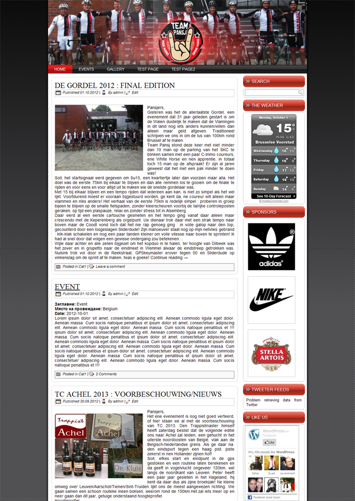 Wordpress Design by WebOne for Cerebra Consult CVBA | Design #1087693