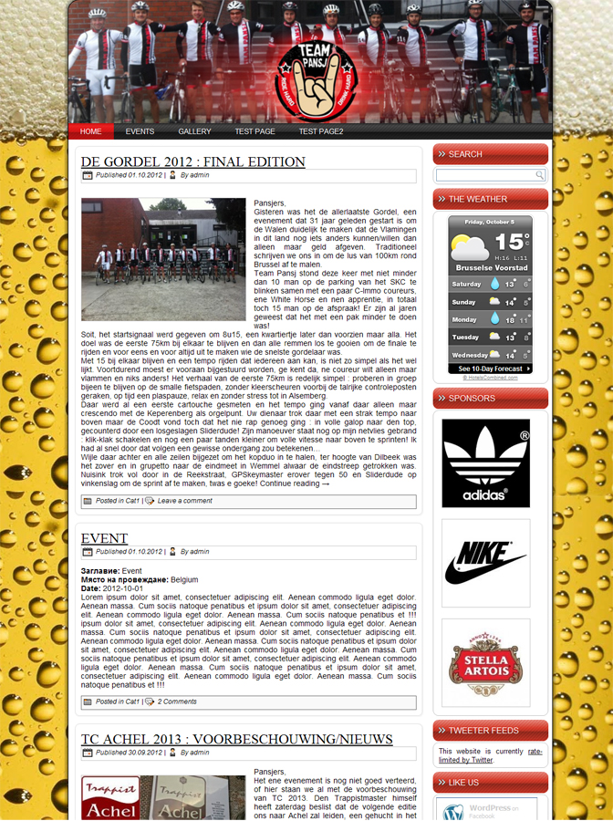 Wordpress Design by WebOne for Cerebra Consult CVBA | Design #1097415