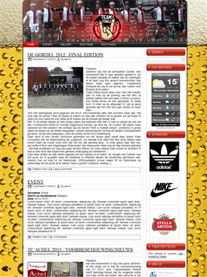 WordPress-Design von WebOne für Cerebra Consult CVBA | Design: #1097415