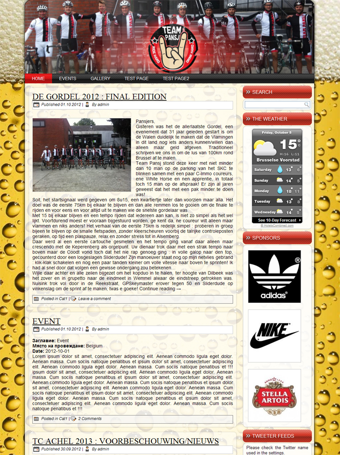 Wordpress Design by WebOne for Cerebra Consult CVBA | Design #1097419