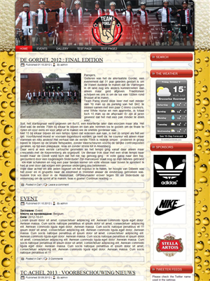 WordPress-Design von WebOne für Cerebra Consult CVBA | Design: #1097419