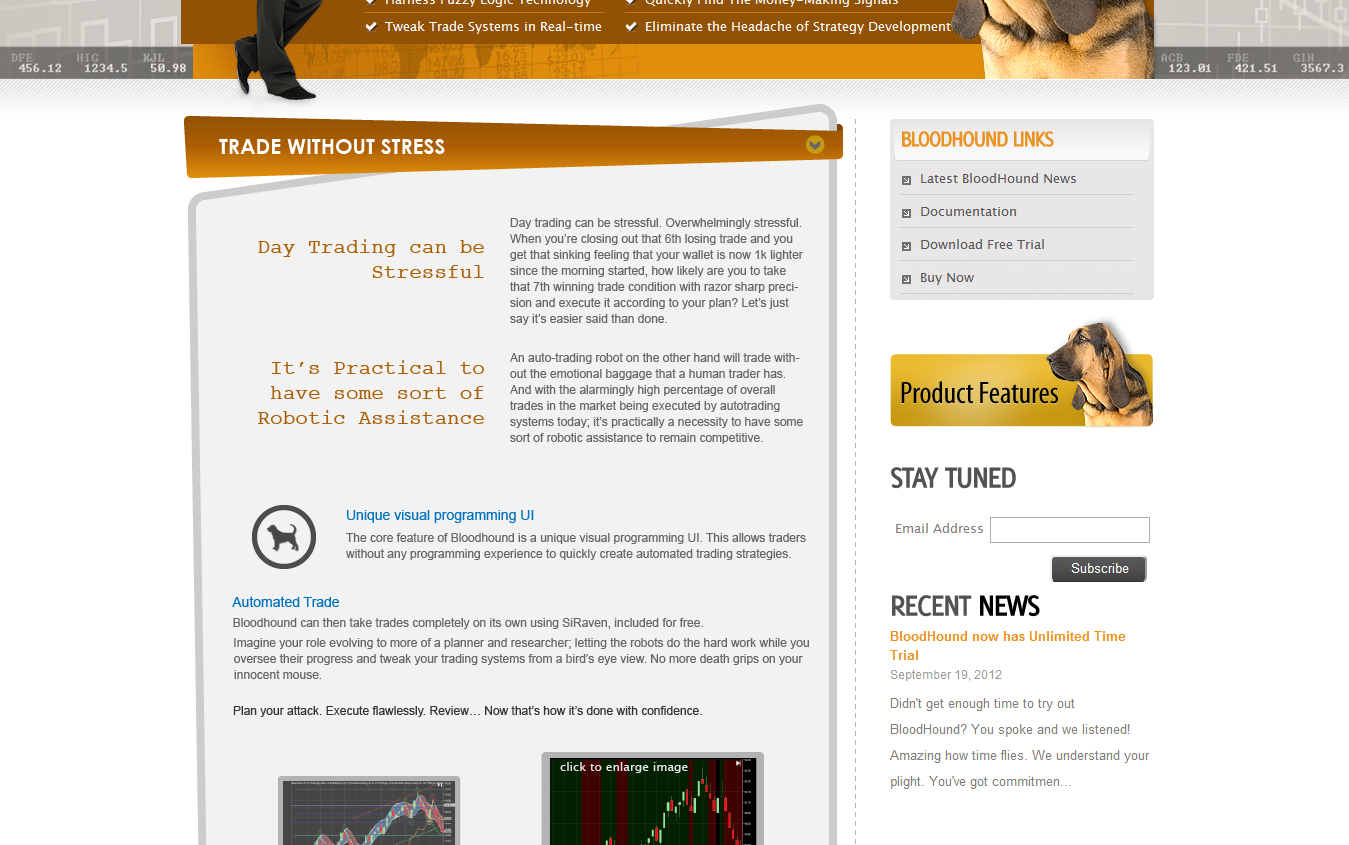 serious modern graphic design for sharkindicators by betaxpression spiff flyer