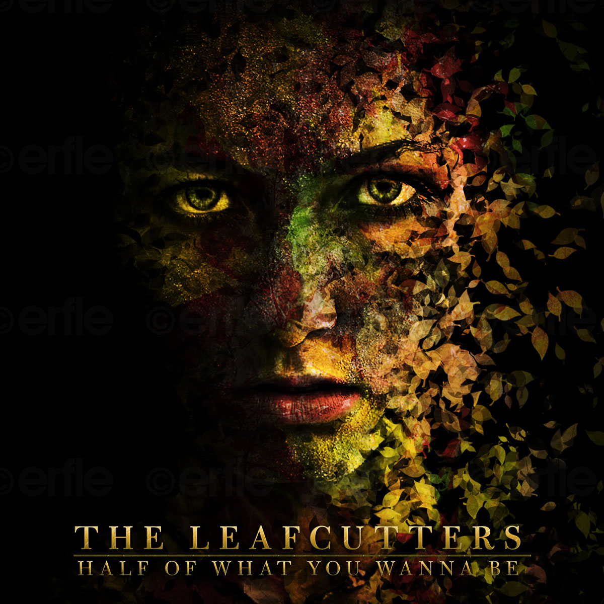 CD Cover Design by erfle for The Leafcutters | Design #1102560