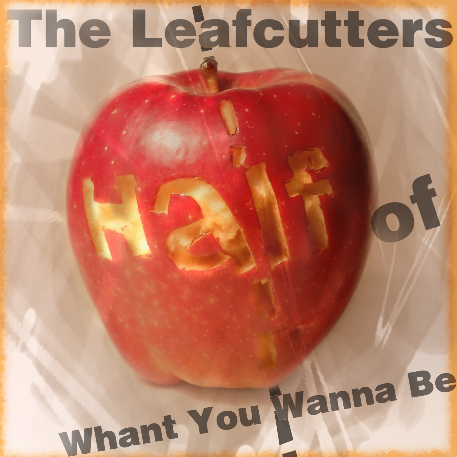 CD Cover Design by MK for The Leafcutters | Design #1053223
