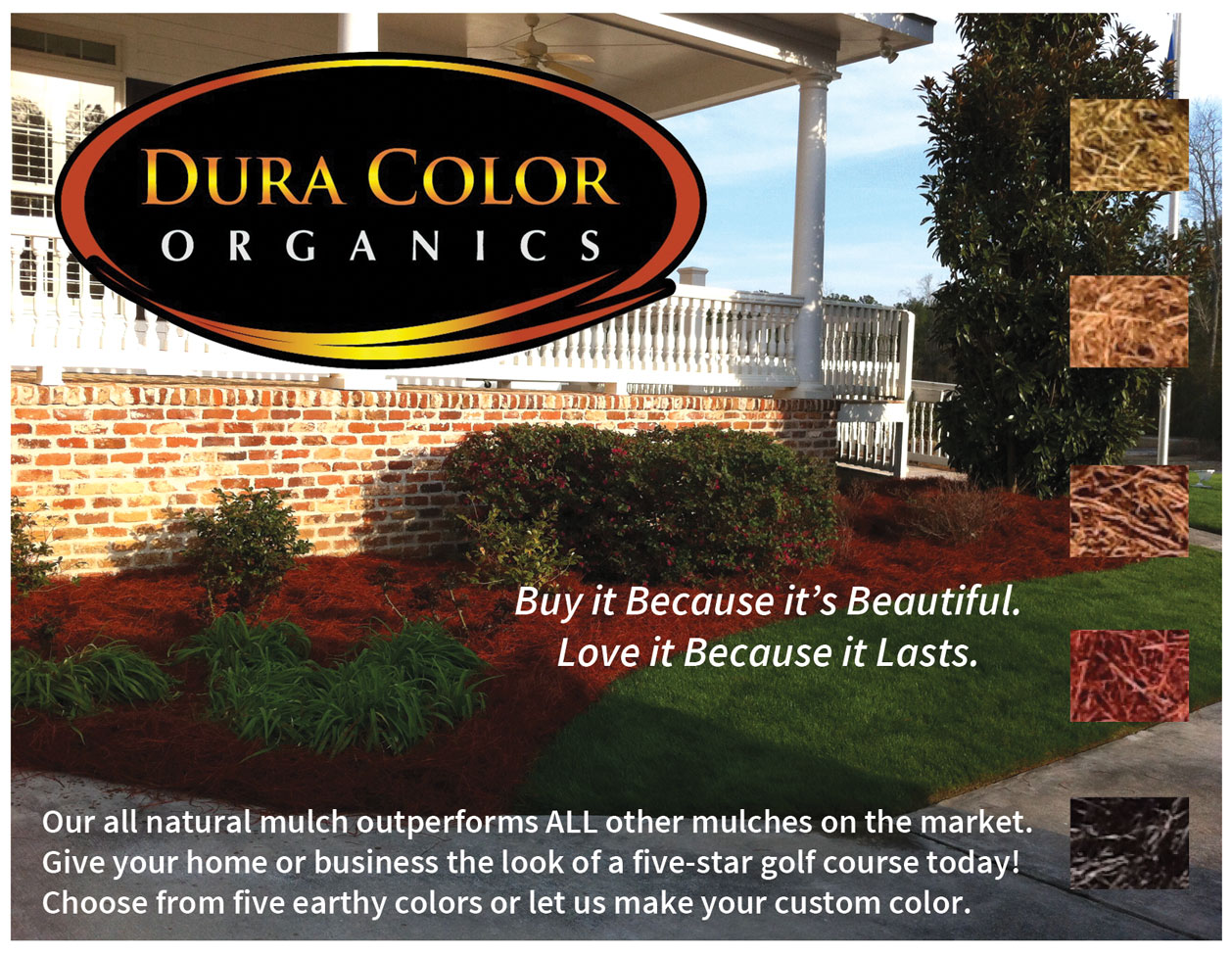 Postcard Design by LilleyGraphics for this project | Design #3917722
