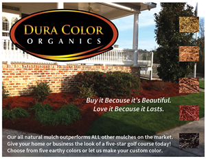 Postcard Design by LilleyGraphics for this project | Design #3917722
